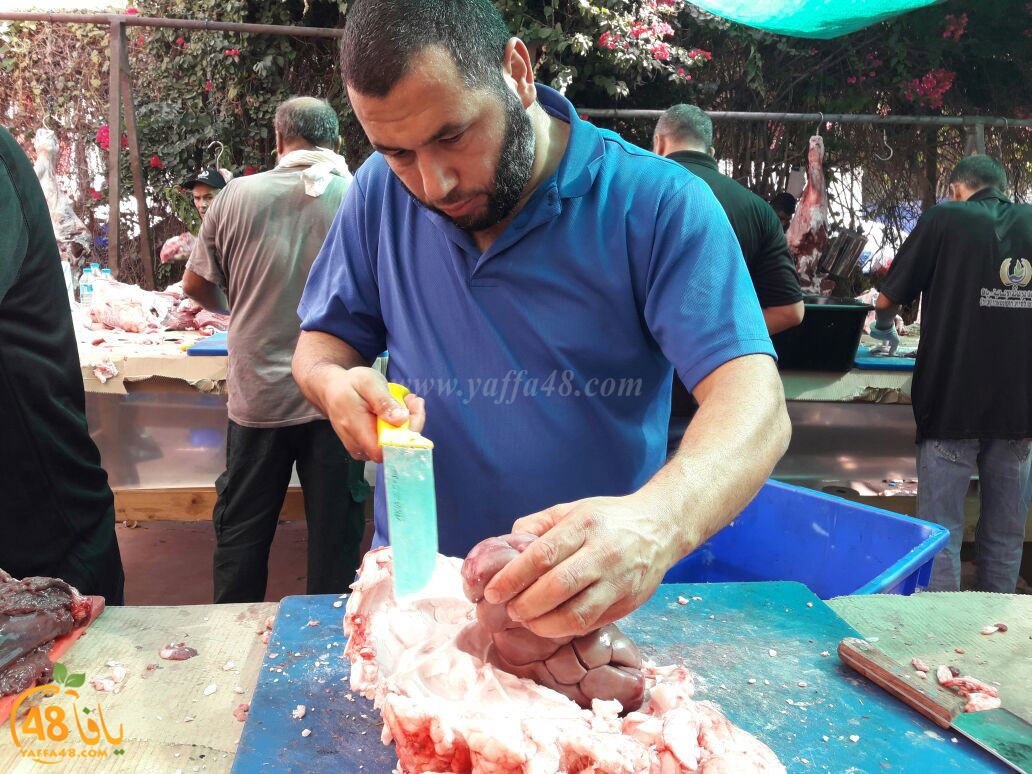 lod8om ada73y (63).jpg